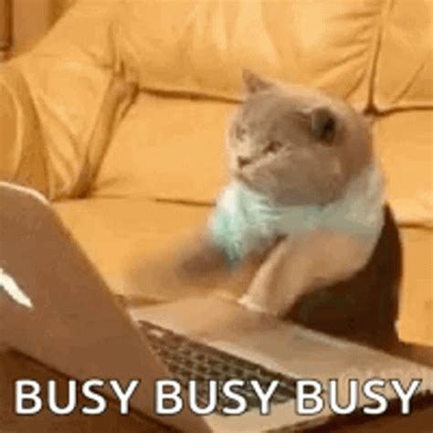 busy gif|busy gif images.